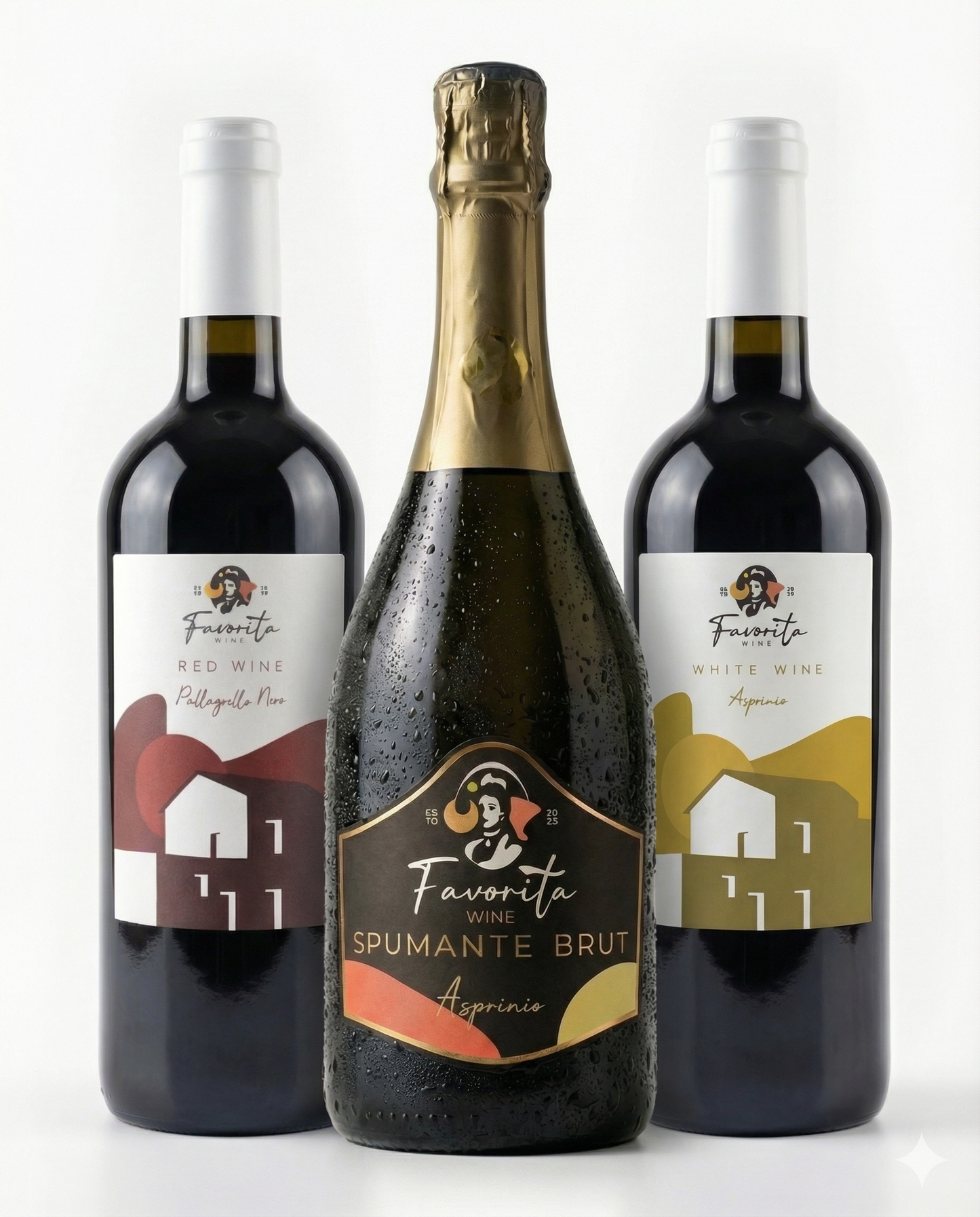 3-bottle wine pack | Triad of Campanian Excellence – Favorite Selection